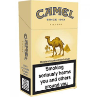 Camel キャメルゴールド