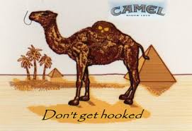 Camel キャメル
